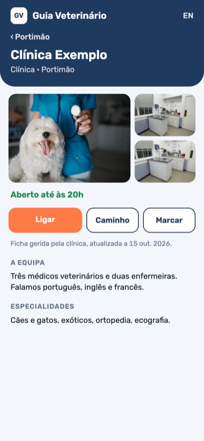 Azul e laranja: Ficha em destaque