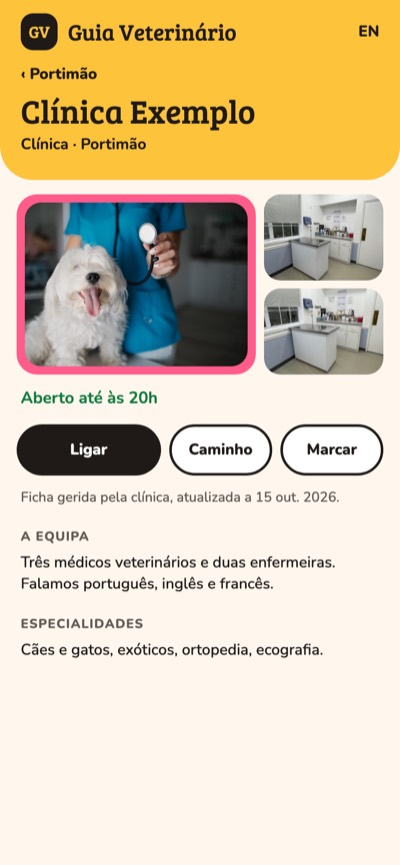 Fusão: Ficha em destaque