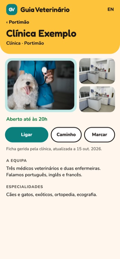 Quatro cores: Ficha em destaque