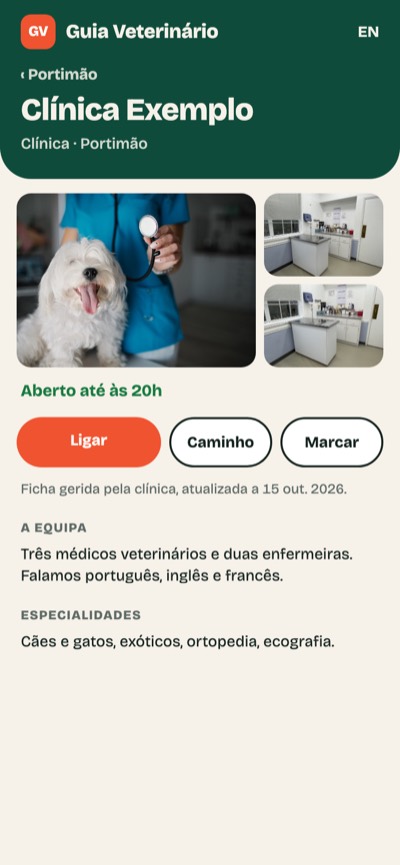 Verde-garrafa e coral: Ficha em destaque
